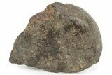 Chondrite Meteorite ( grams) - Western Sahara Desert #232951-1